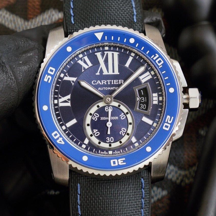 Cartie Diver
