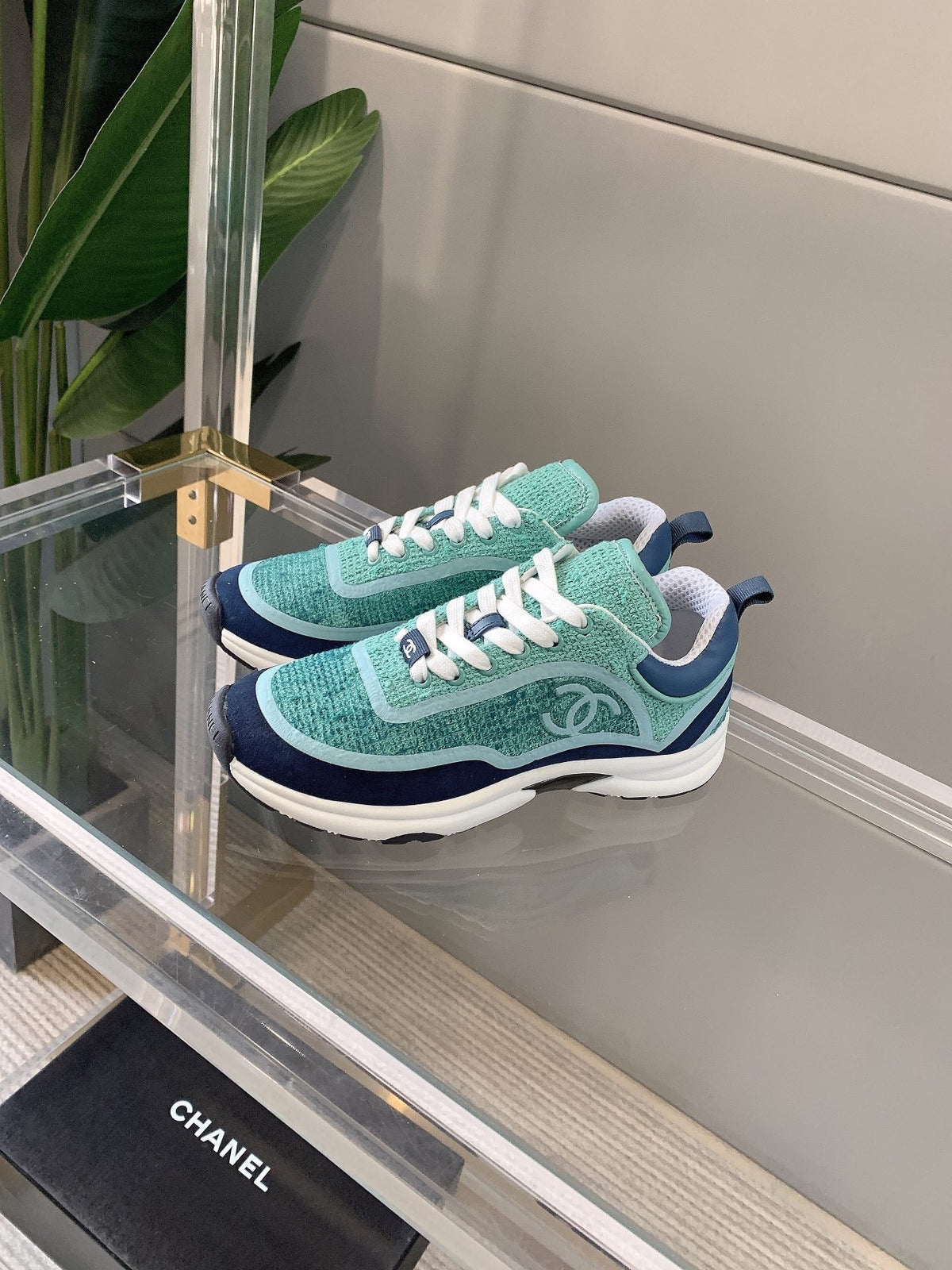 CC Sneaker In Turquoise Wool 145623