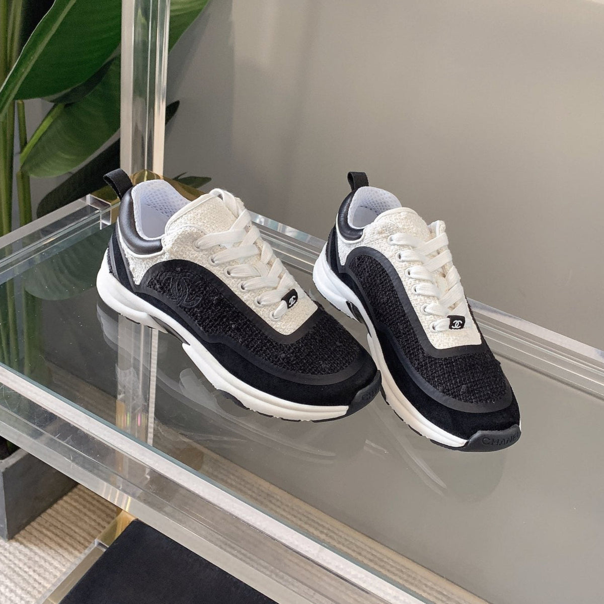 CC Sneaker In Black Wool 145622