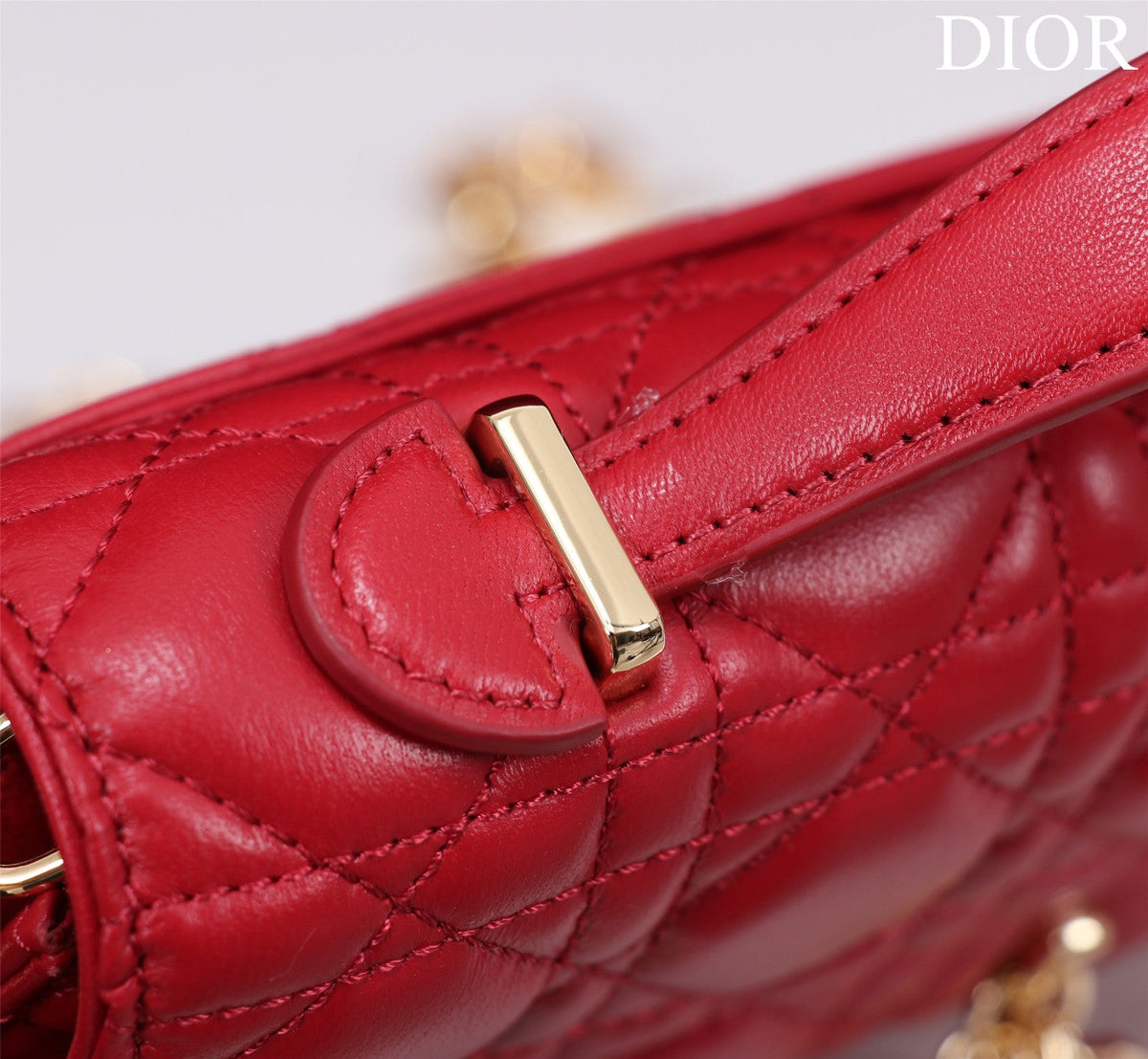 my cd mini 21 red lambskin