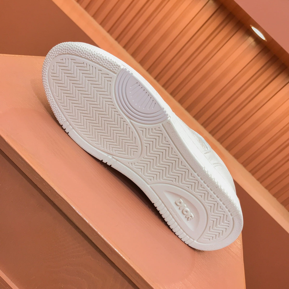 CD B27 LOW-TOP SNEAKER WHITE MESH CALFSKIN