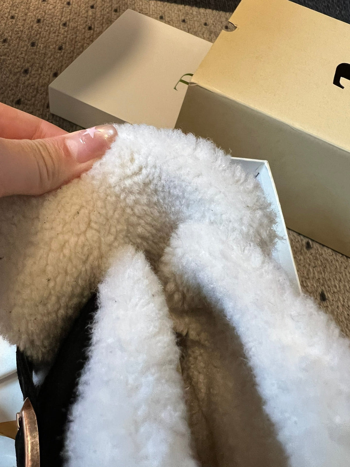 The Row 2025 Ankle Boot Black White Suede Wool 561620