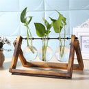 Glass and Wood Vase Planter with Wooden Base