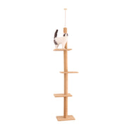 XERO- Arbre à chat fixation au plafond
