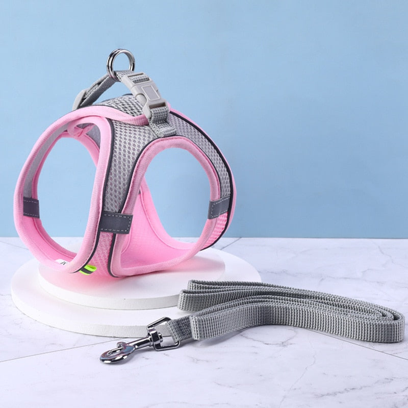 Ensemble Harnais + Laisse maille ultra respirante