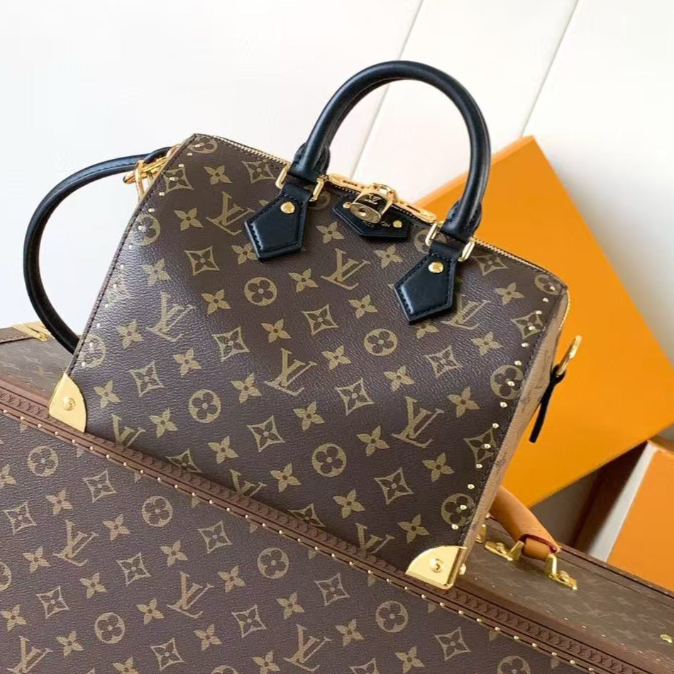 LV Speedy Trunk Bag Black Brown Cowhide Canvas