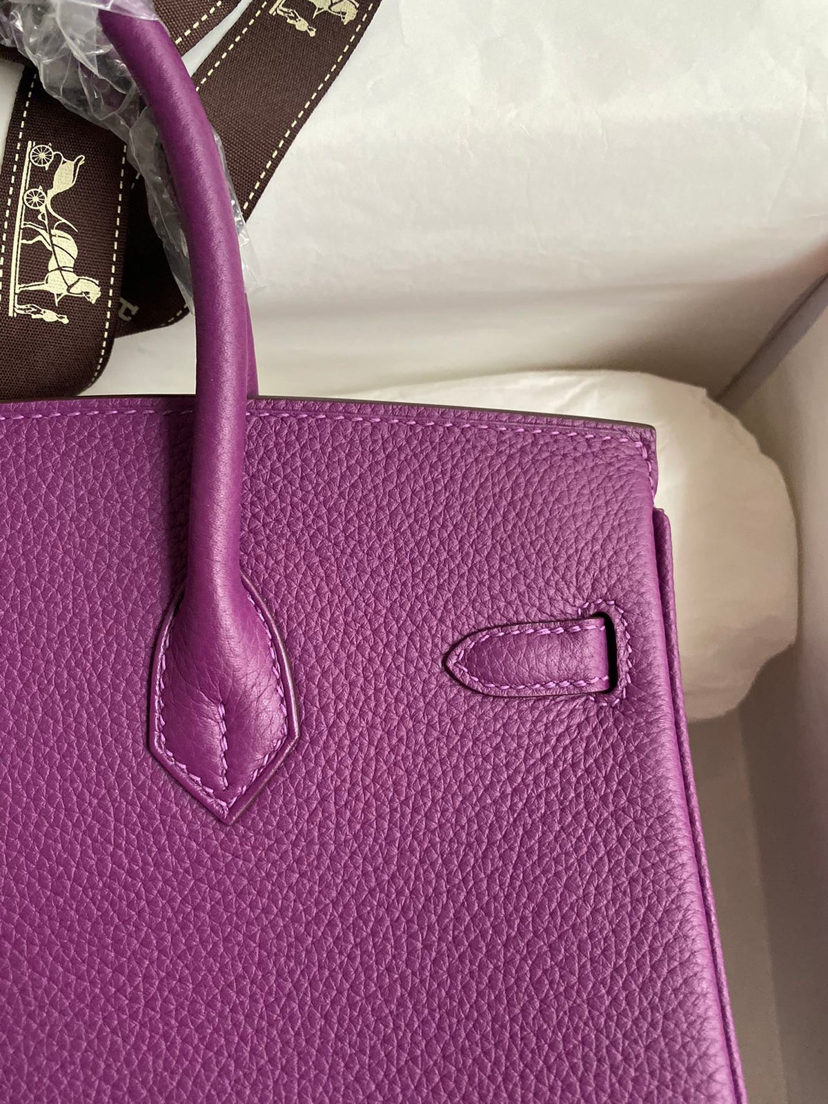 Hermes 2025 Birkin Bag Purple With Gold Hardware Epsom Leather
