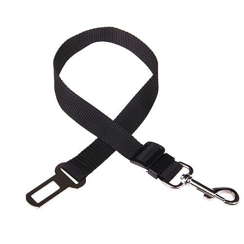 Ceinture de sécurité réglable pour animal de compagnie