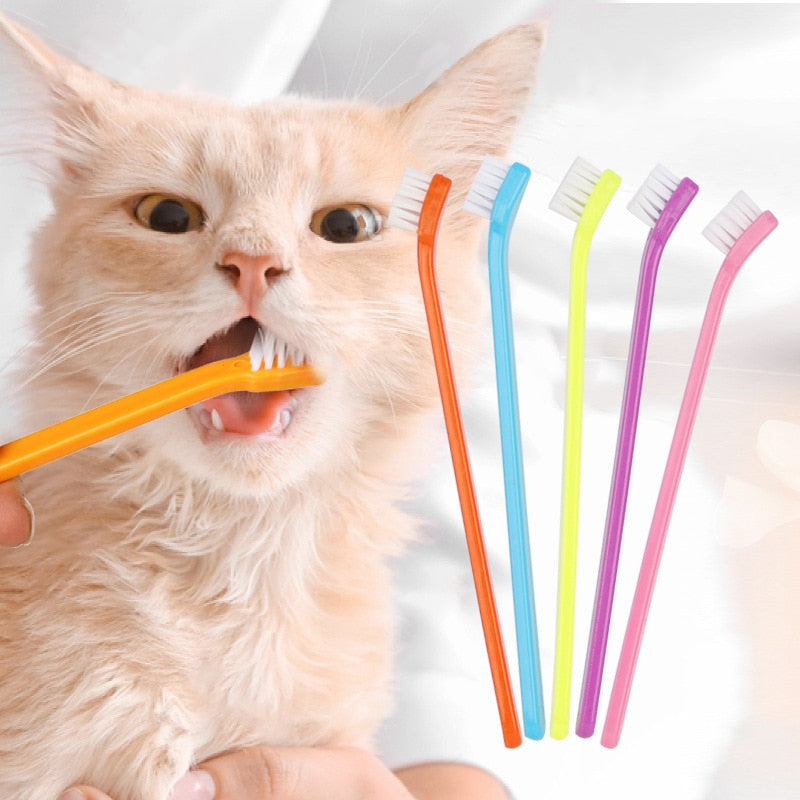 NEO - Brosse à dents souple pour chat