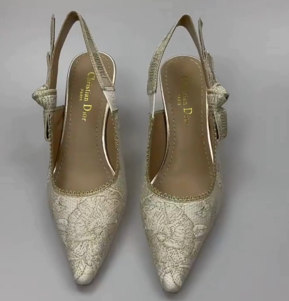 CD 25 Slingback Pump Cream Transparent Mesh