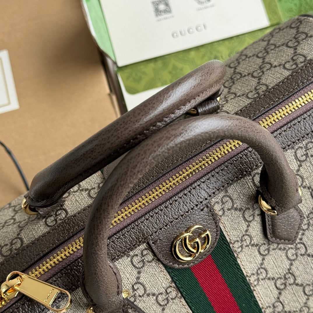 Gucci Ophidia Bag Beige mix Brown Canvas 240085