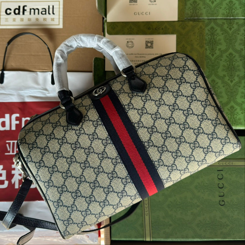 Gucci Ophidia Bag Beige mix Blue Canvas 240088