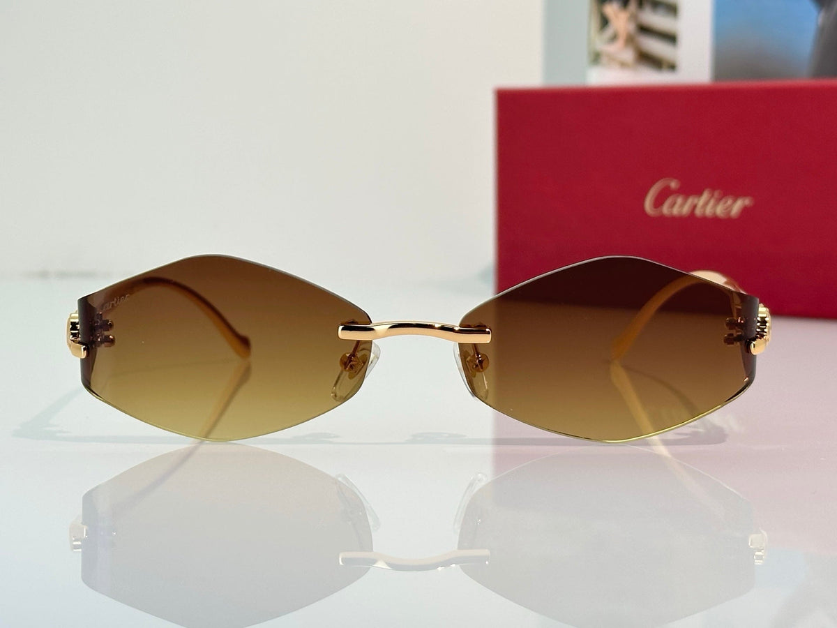 Cartier Sunglasses 2026 CT020410