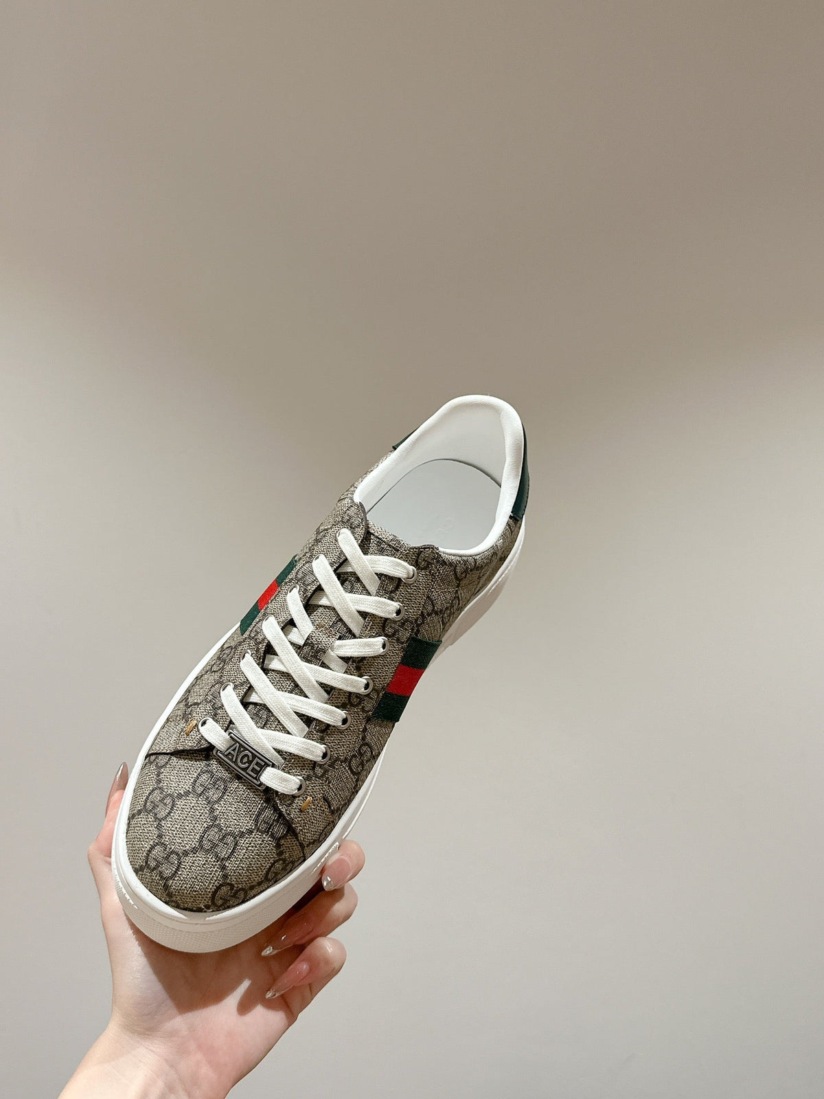 GG Ace Sneaker Begie Ebony Canvas