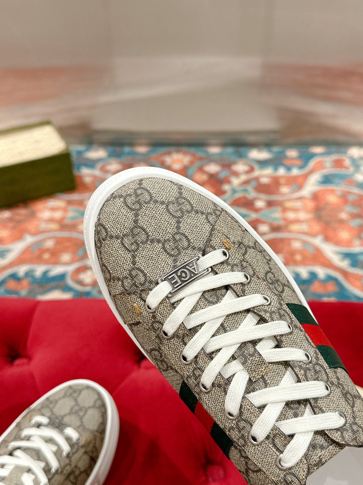 GG Ace Sneaker Begie Ebony Canvas