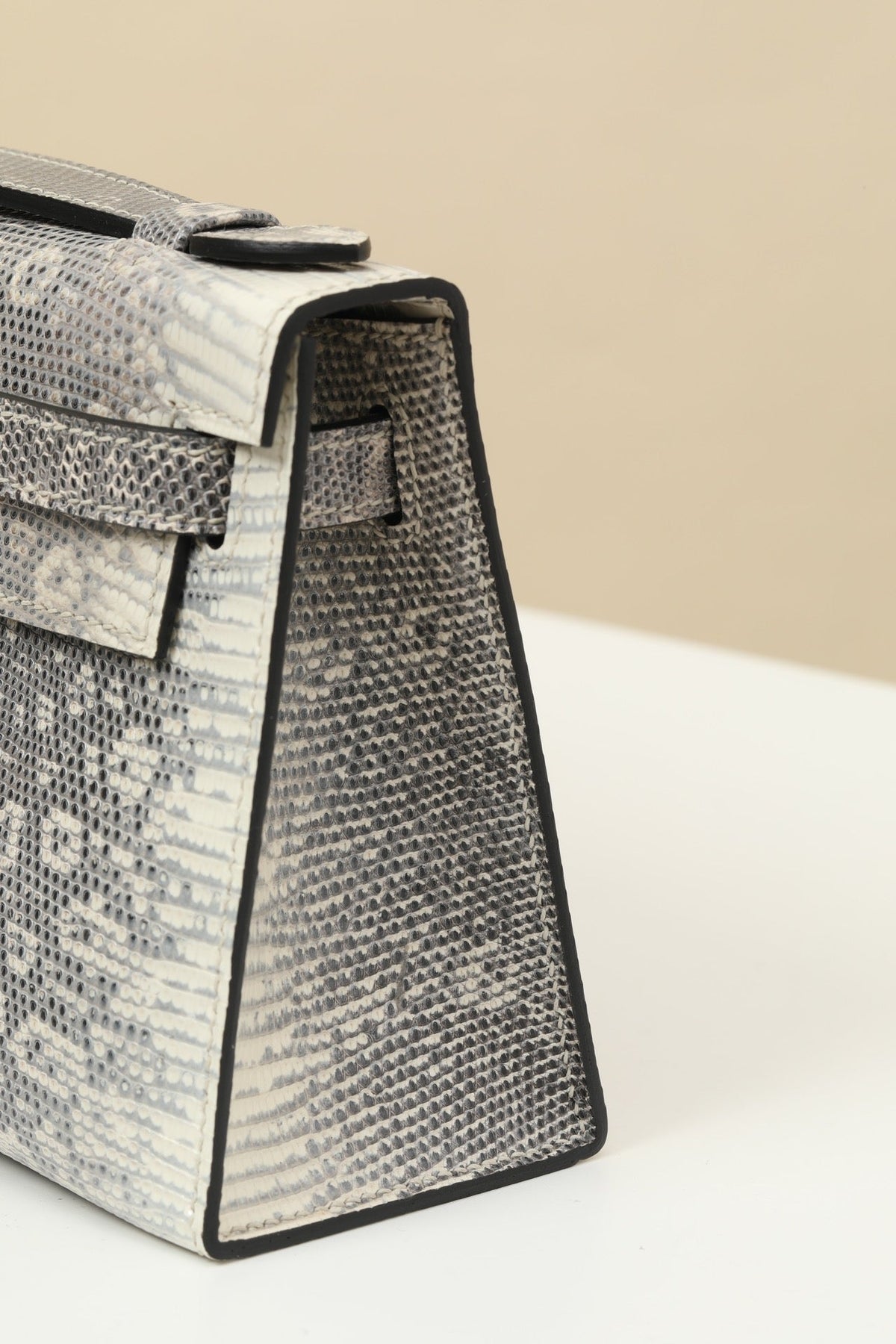High-end Hermes 2026 Kelly Pochette Bag 22cm Ombre Lizard Skin