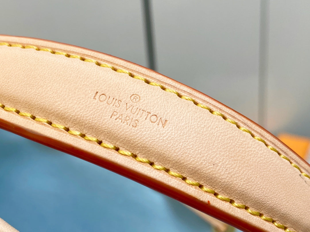 nano noe 13 damier canvas beige calfskin gold hardware