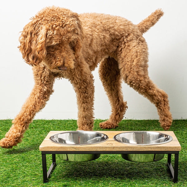  Pet Feeder