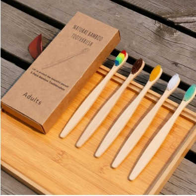 Eco-Friendly Wooden Toothbrush #AUR1570R