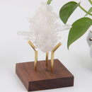 White Wood Crystal Holder